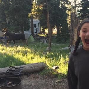 Meet your Posher, Raina